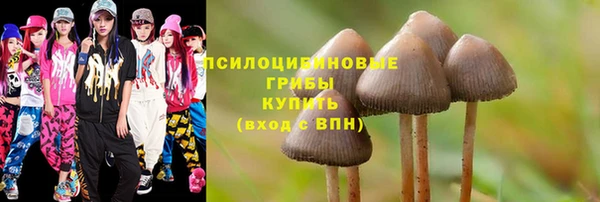 PSILOCYBIN Абинск