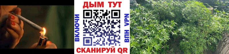 Каннабис SATIVA & INDICA  нарко площадка официальный сайт  Аксай 